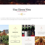 Diseño Web tienda online de vino