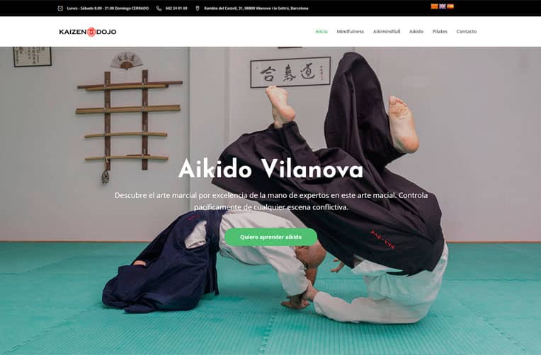 diseño web artes marciales vilanova